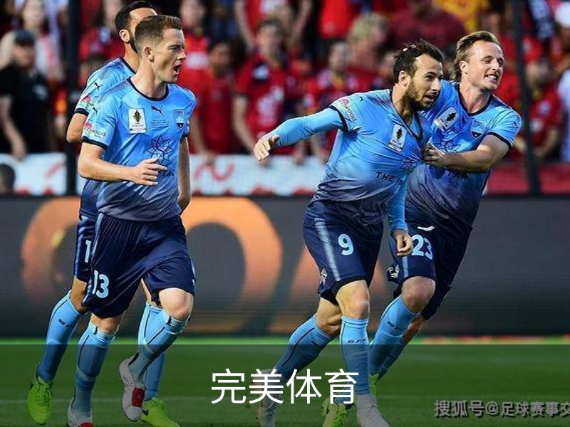 关于完美体育